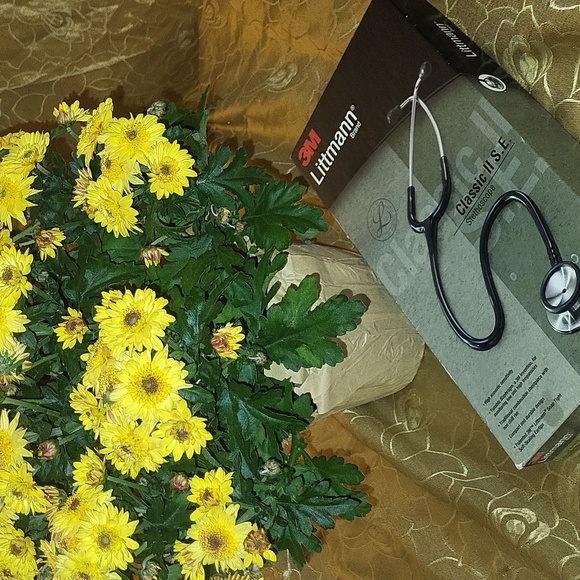 🩺Littmann 3M Classic II S.E.- Nice Used Condition🩺 - Picture 1 of 14